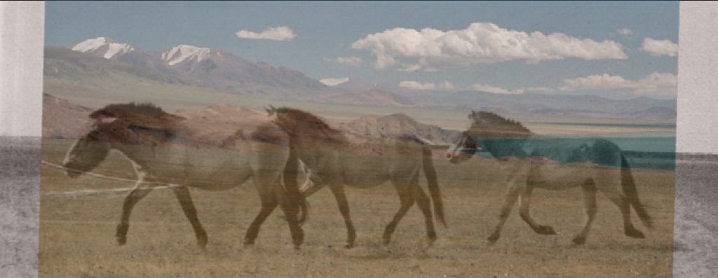 Two photographs overlayed over each other, one black and white with a landscape, the other colour with another landscape and three wild horses mid gallop.